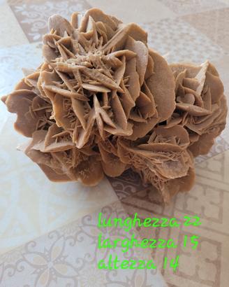 rosa del deserto
