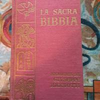 Bibbia salani vecchia