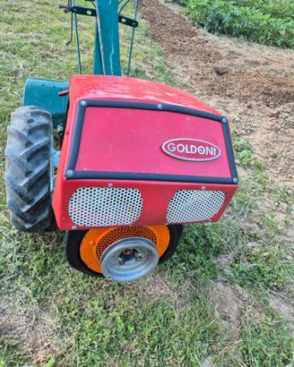 Goldoni 14cv diesel