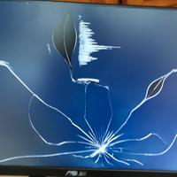 Lcd Monitor Asus VZ249H E cristalli rotti ricambi