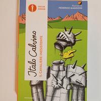 Libro Italo Calvino “Il cavaliere inesistente” – c