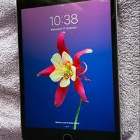 Ipad 4 mini