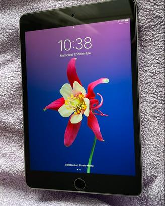 Ipad 4 mini