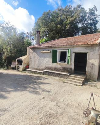 Osilo Loc.Pala Endras Terreno Agricolo con Vigna e