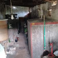 5 botti in cemento da vino