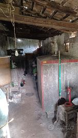 5 botti in cemento da vino