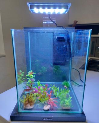 Acquario zolux