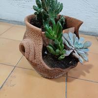 PIANTINE  GRASSE IN COMPOSIZ NEL VASO DI TERRACOTT