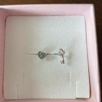 Orecchini argento Stroili