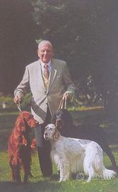 Setter inglese bianco arancio