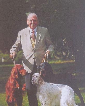 Setter inglese bianco arancio