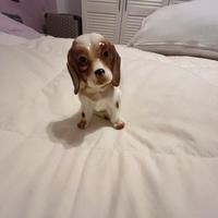 Cagnolino in ceramica