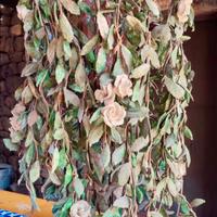 Lampada-scultura Ettore Paccetto – Cascata di rose