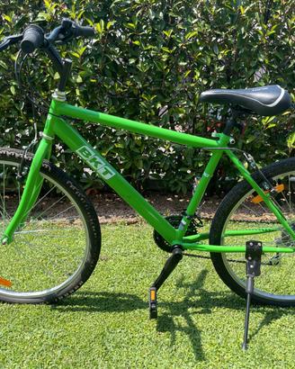 Bicicletta BKT verde