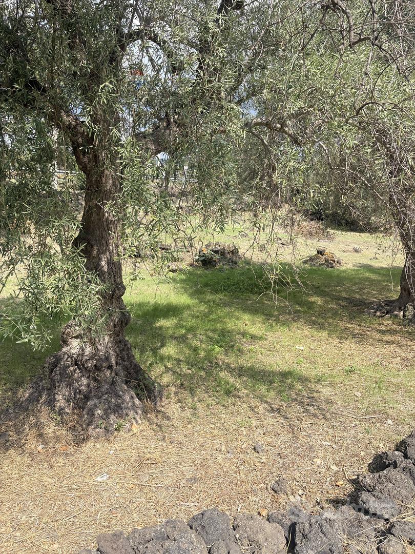 Terreno - Ragalna - Altro