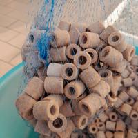Cannolicchi per filtro acquario dolce o marino