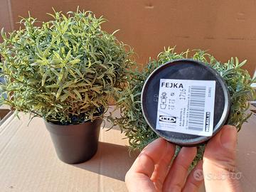 Piantine ikea+ prolunga scrivania+porta pc