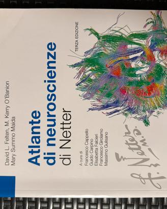 Atlante di Neuroscienze Netter