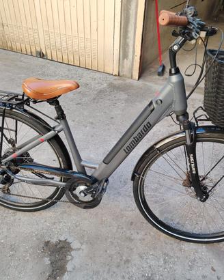 Bicicletta Elettrica
