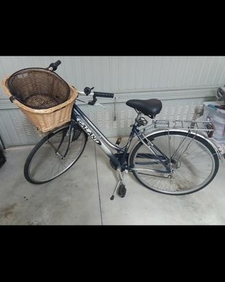 Bicicletta da Donna 