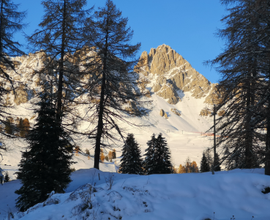 Natale e fine anno sulla neve