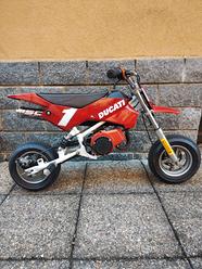 Minimoto ducati Vendita in Moto e scooter