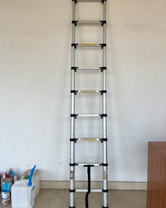 Scala telescopica in alluminio 2.5m