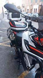 Benelli TRK702 del 2024