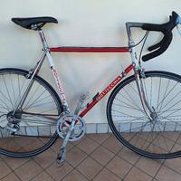 bottecchia team malvor