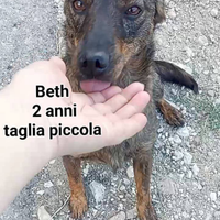 Beth la dolce taglia piccola