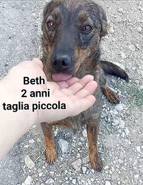 Beth la dolce taglia piccola