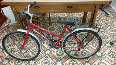 Bicicletta Shadow Extreme  