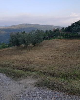 CONFERMA TERRENO agricolo con pozzo e rete Enel