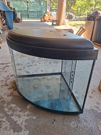acquario angolare 120lt