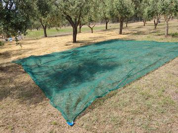 Teli raccolta olive