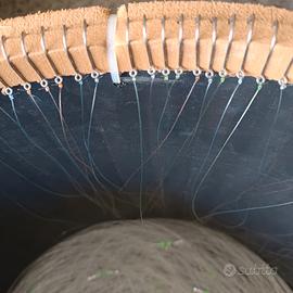 palamito pagelli saraghi orate