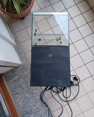 Teca per rettili