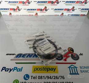 CABLAGGIO LUCE TARGA BENELLI 251S-LEONCINO 125/250