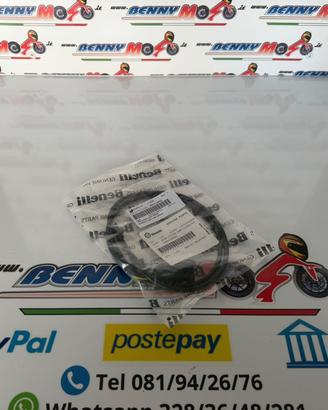 CABLAGGIO LUCE TARGA BENELLI 251S-LEONCINO 125/250