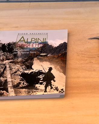 Lotto vintage materiale Alpini: Libro più picozza