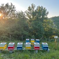 Arnie-materiale apicoltura