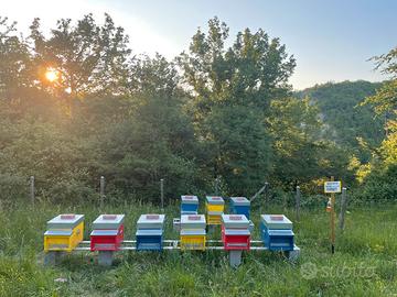 Arnie-materiale apicoltura