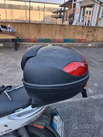 bauletto
