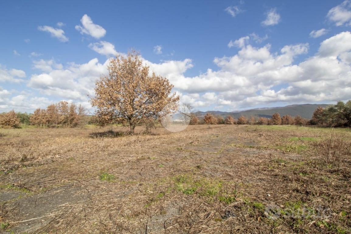 TER. AGRICOLO A MORICONE - Vista 5