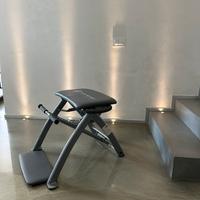 Pilates pro chair