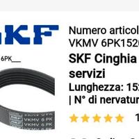 cinghia servizi SKF per Ford Focus 