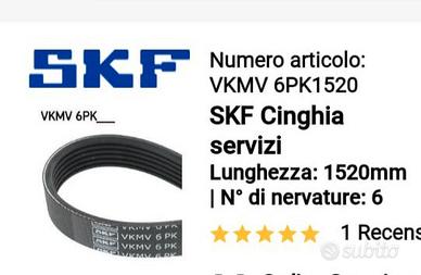 cinghia servizi SKF per Ford Focus 