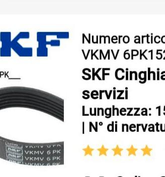 cinghia servizi SKF per Ford Focus 