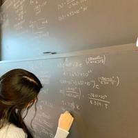 Ripetizioni di matematica e fisica