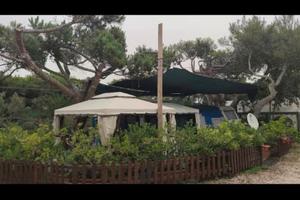 Roulotte camping Sabaudia